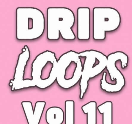 DiyMusicBiz Drip Loops Vol.11 WAV